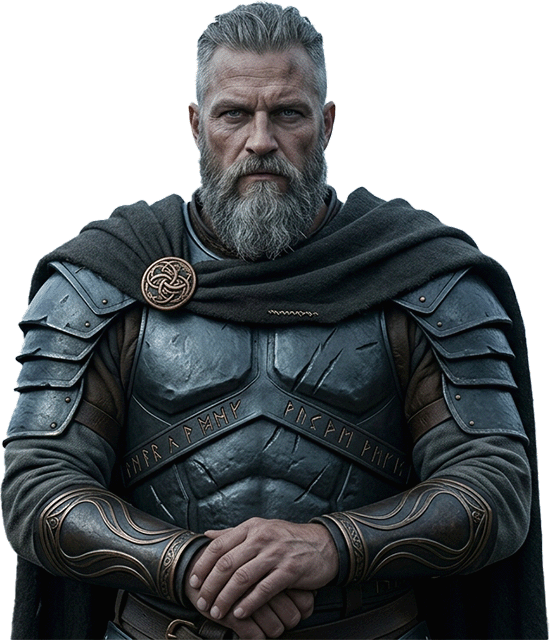 Viking Hero Image